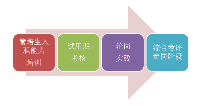 3-如何培养